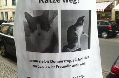 Zettelwirtschaft: Katze weg, Freundin weg